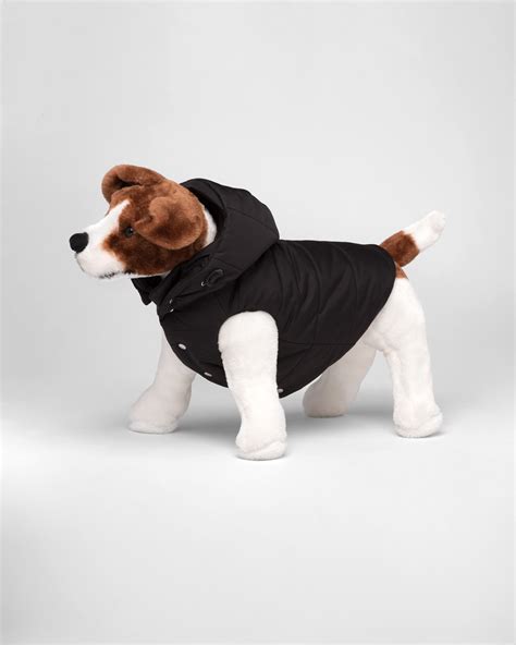 prada jacket dog|Black Re.